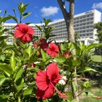 オールデイダイニング アマハジ - 