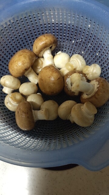 わくわく広場 イオンタウン仙台泉大沢店 - 泉中央（その他）の写真