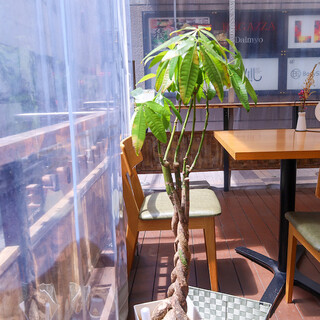 ルーチェ フィオレ_2