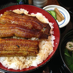 浜松 - うなぎ丼「上」大盛り