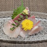 魚料理・もつ鍋  山咲き - 刺身　絶品です