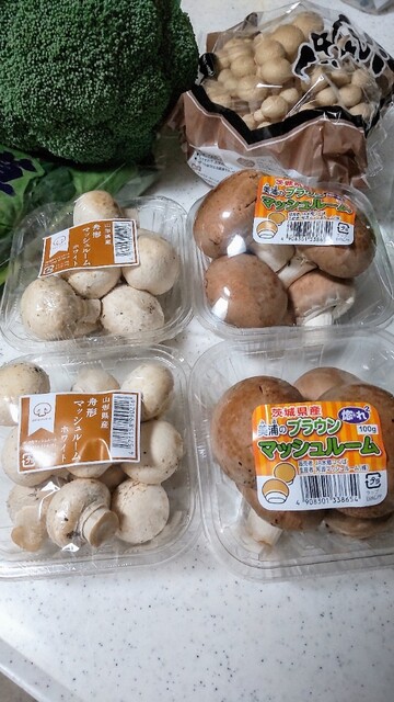 わくわく広場 イオンタウン仙台泉大沢店 - 泉中央（その他）の写真