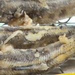 大衆酒場 かど鈴 - 