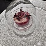 293367563 - 