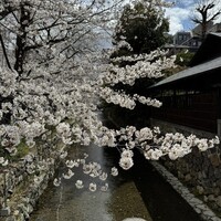 富小路 やま岸 - 