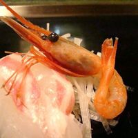 割烹 鮨 米八 - 