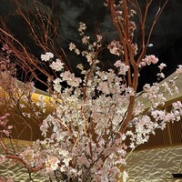 意気な寿し処阿部 青山店 -  意気な寿し処阿部 青山店 -