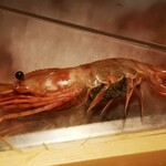 おたる政寿司 - 