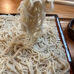 御手打ちそば やま本 - 
