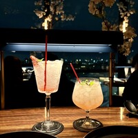 渋谷 Blue bird - 