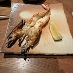 CAVE SHIOJIMA - 