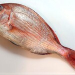 魚幸水産 - 綺麗な桜鯛♥