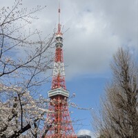 寿司 濱芝 - 