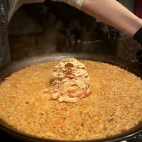 Potoro - 