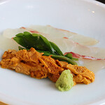 浮田町いま - 料理写真:お刺身