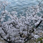 八勝閣 みづのを - 