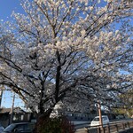 八勝閣 みづのを - 