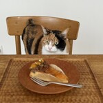 fammy by Miho Sato - 