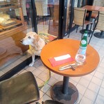 ニーノ カフェ - 