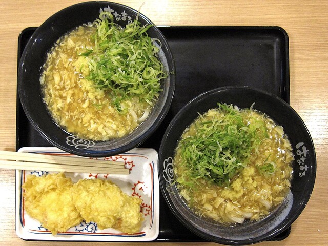 Hanamaru Udon Shinchitosekuko Ten - New Chitose Airport/Udon