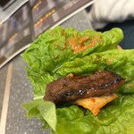 萩之茶屋鶴一 - 