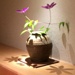 神楽坂 石かわ - 