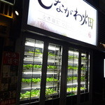 Shinagawa Hatake - 野菜が育ってます
