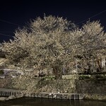 小江戸の洋食 コエド ボナペティ - 