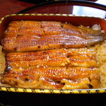 横浜野田岩 - 養殖鰻