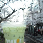 ドトールコーヒーショップ - ドリンク写真:宇治抹茶ラテ