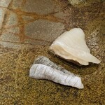 鮨 奥 - マコガレイ（竹岡）