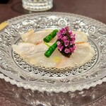 イル アオヤマ - 