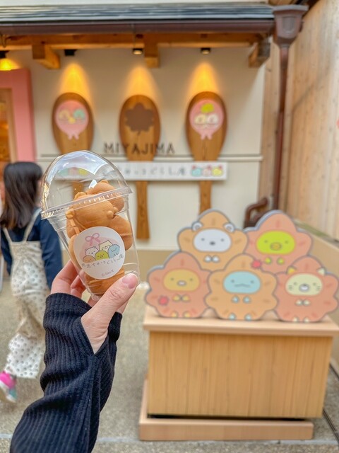 Kaiun Sumikkogurashi An Miyajima Ten photo 4