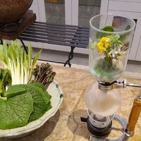 entre nous - ⑥山菜(こごみ&蕨&うるい&蕗)入り蛤出汁《ハーブのブーケエッセンス、サイフォン仕立て》
                      また蛤出汁にハーブの香りを付ける工程は目の前でサイフォンにて行われるのでライヴ感があります