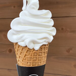 はんすう - レギュラー コーン