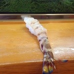 福寿司 - 天然超巨大車海老　神