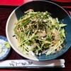 そば処 つる岡 - 料理写真:ヘルシーそば　見た目サラダ