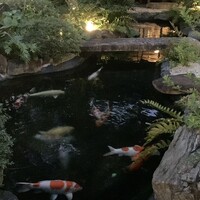 炭焼うな富士 白壁別邸 - 
