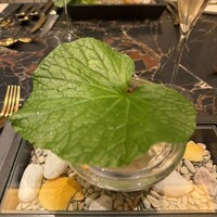 六花 - 