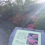 Yamanoeki Takahara - 山の駅周辺は天然つつじの群生地。軽い散歩から、軽いハイキング、登山コースもあります。