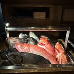 なきざかな 新宿店はなれ - 