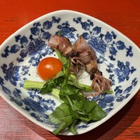 う越貞 - ホタルイカ