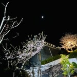 SASEBO Saikaido S・Nakiri cafe - 