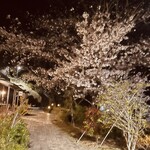 SASEBO Saikaido S・Nakiri cafe - 