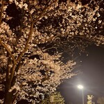 SASEBO Saikaido S・Nakiri cafe - 