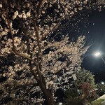 SASEBO Saikaido S・Nakiri cafe - 