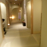 梅の花 - 廊下も明るいです