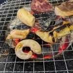 ニューワンちゃん - 