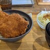 新潟カツ丼タレカツ 京都本店