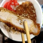 山形十割そば処 紅 - 甘めのソースが良く合う